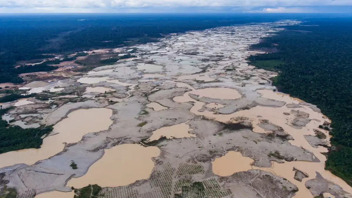 Peru Election Ignores Illegal Mining Crisis