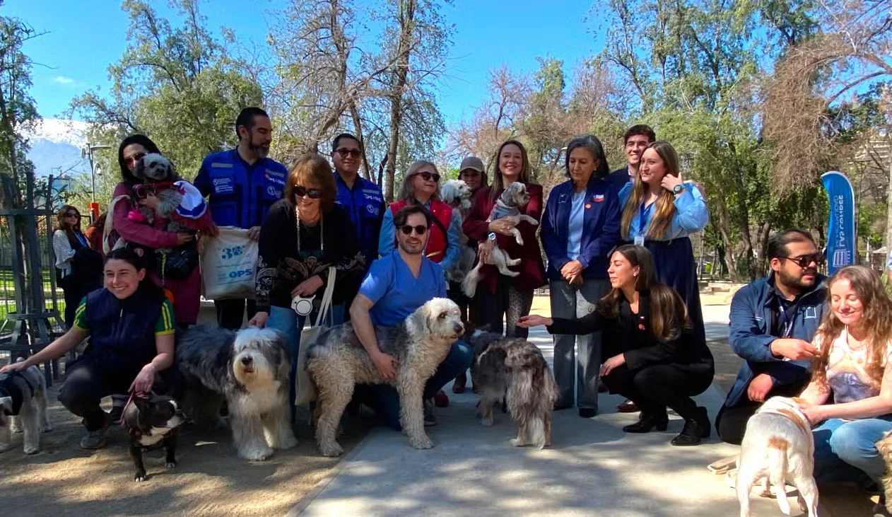Pan American Health Organization Validates Chile as First South American Nation to Eliminate Dog-Mediated Rabies
